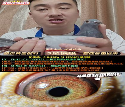 《超级401近亲孙代》罗西多重近亲回血