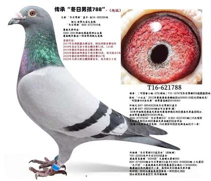 父亲