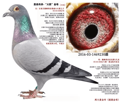 母亲