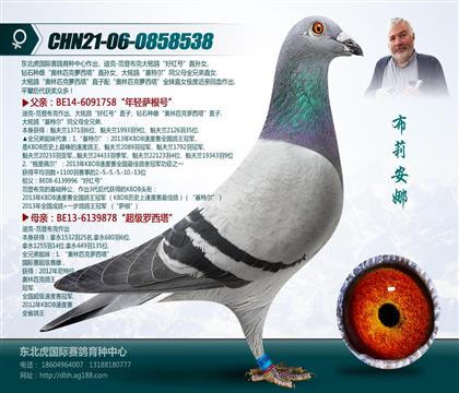母亲