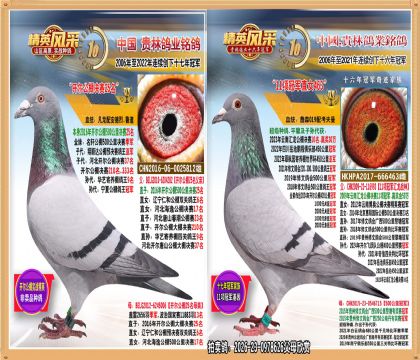 唐山开尔公棚决赛25名直子