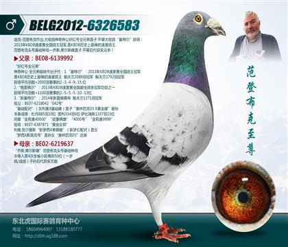 父亲