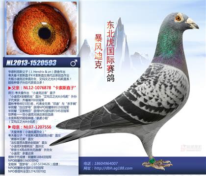 父亲