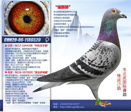母亲