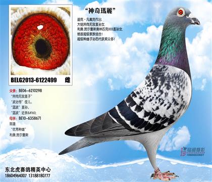 母亲