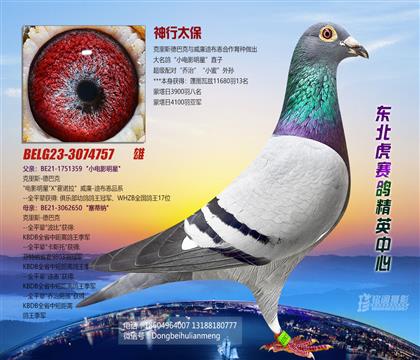 父亲