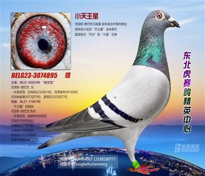 母亲