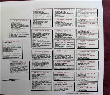 血统