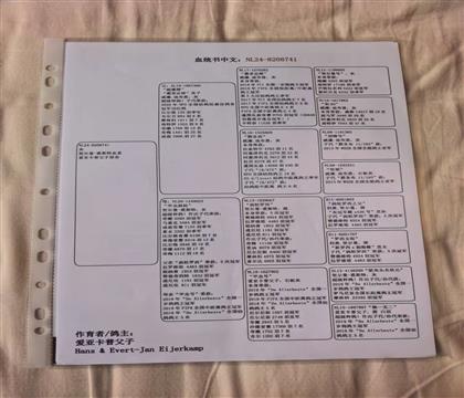 血统