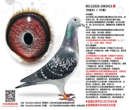 4母亲20-2065423