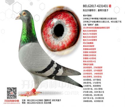 4父亲BELG2017-4231431图