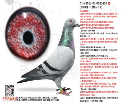 4父亲思源0025850