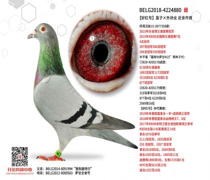 5母亲BELG2018-4224880图