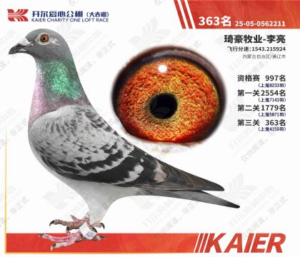 26年开尔大春棚决赛363名(雌)