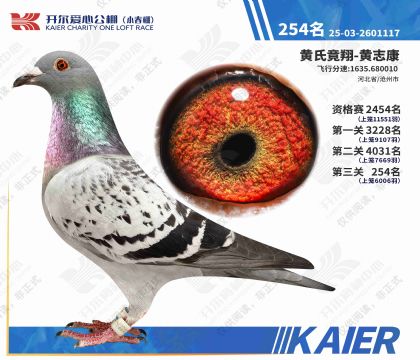 26年开尔小春棚决赛254名(雌)
