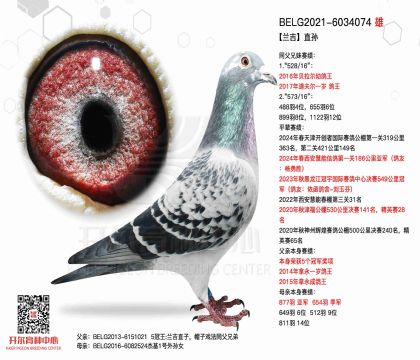 4父亲-6034074