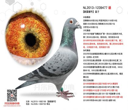 4父亲-1239477