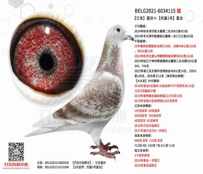 4父亲-6034115