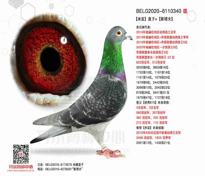 4父亲-6110340