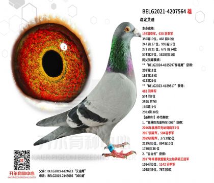 4父亲-4207564