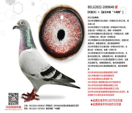 5母亲-2089640
