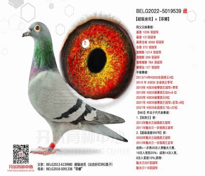 5母亲-5019539