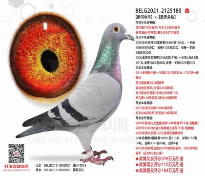 5母亲-2125180