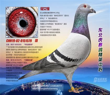 母亲
