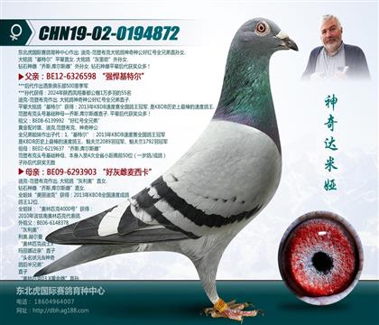 母亲