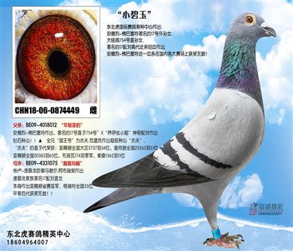 母亲