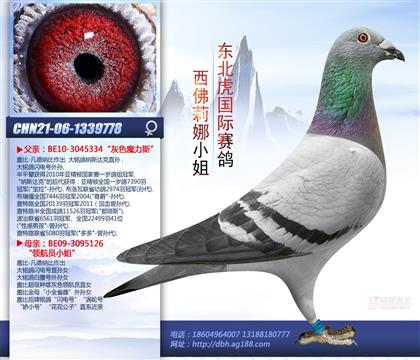 母亲