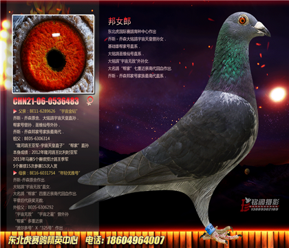 母亲