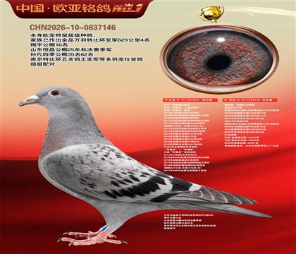 乔尔佛斯豪特原舍987X葛斯顿原舍760