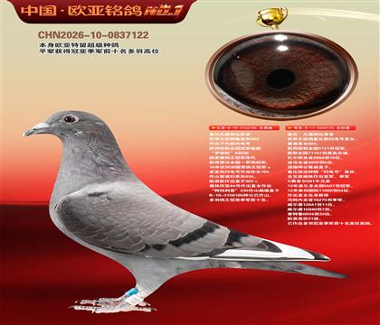 盖比原舍鲁迪灰185X新闪电号123