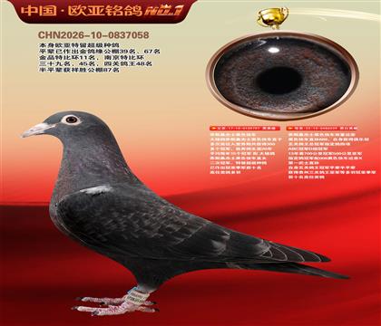 乔斯桑杰士黑色快车797X539