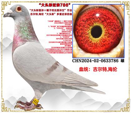 (重点推荐)吉尔特.海伦“大头彩直孙×帽子戏法直孙女”作出