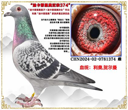 (重点推荐)利奥“迪卡普里奥直子X迪卡普里奥直孙女”近亲回血