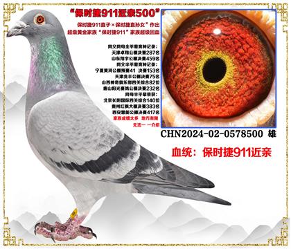 “保时捷911直子X保时捷911直孙女”超级近亲