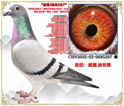 威廉.迪布恩“墨菲定律直子×奥林匹克飓风号直女”