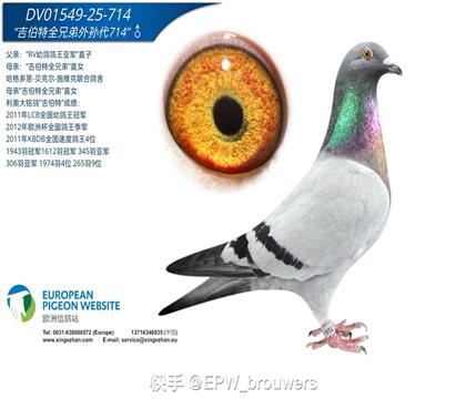 小心脏全兄弟直子X吉伯特全兄弟直女(雄714)