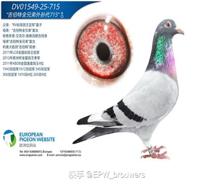 小心脏全兄弟直子X吉伯特全兄弟直女(雄715)