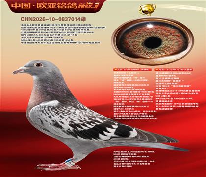 利奥851直子622冠军X盖比600公里四名740