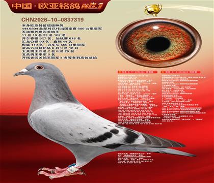 利奥波尔特亚精顿444×超级金母麻鹰804