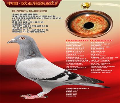 盖比原舍鲁迪直子129X闪电号165