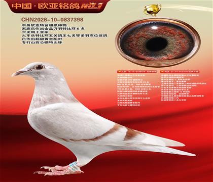 西佛依托全国冠军泰山号多重近亲419X076