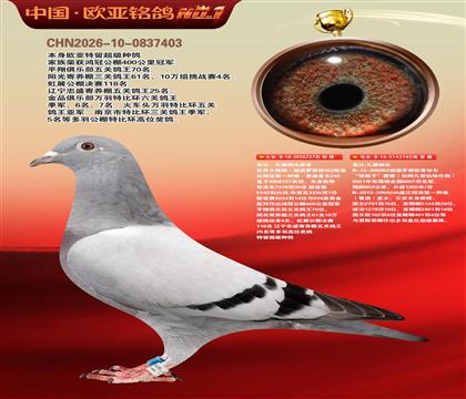 盖比原舍罗密欧直子727X罗密欧直孙女165