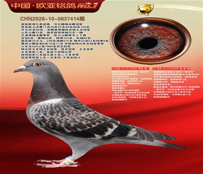 施霍龄尼可号956×施霍龄尼可号889