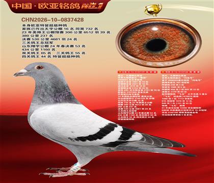 盖比原舍鲁迪直子129X闪电号165
