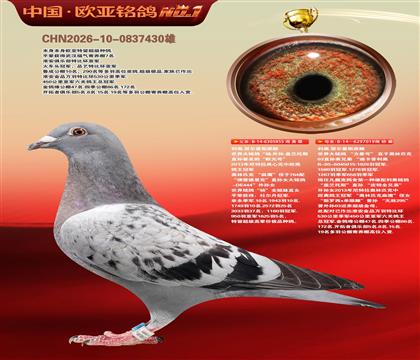 利奥原舍杨外孙855X迪卡普利奥力量号019