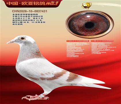 西佛依托全国冠军泰山号多重近亲481X256